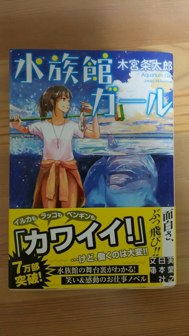 てるてる坊主の読書感想文